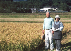 濱川さんのお米